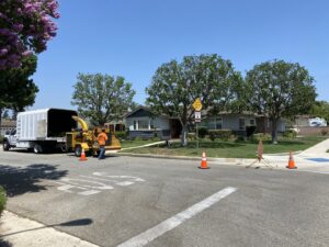A tree service crew operating a wood chipper and dump truck for acostatreeservice in Miami, FL.