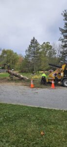 A tree service crew using a wood chipper to process felled trees on a paved area for Teacher's Tree Service in South Burlington, VT.