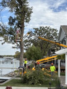 Capital Tree Company crew with a wood chipper performing tree services by a lakeside property in Des Moines, IA.