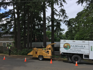 A tree service crew with a wood chipper and truck working on a street for Samsara Tree Care in Portland, OR.