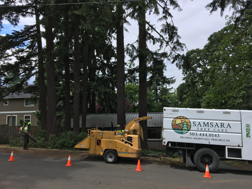 A tree service crew with a wood chipper and truck working on a street for Samsara Tree Care in Portland, OR.
