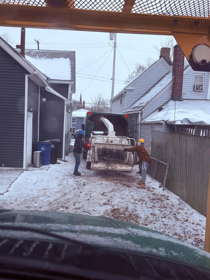 A tree service crew feeding branches into a wood chipper for cleanup by Robert Tree Service LLC in Cleveland, OH.