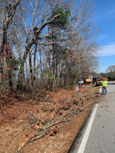 A tree service crew with a worker in a tree and ground crew clearing debris for Smiles Tree Service in Atlanta, GA.