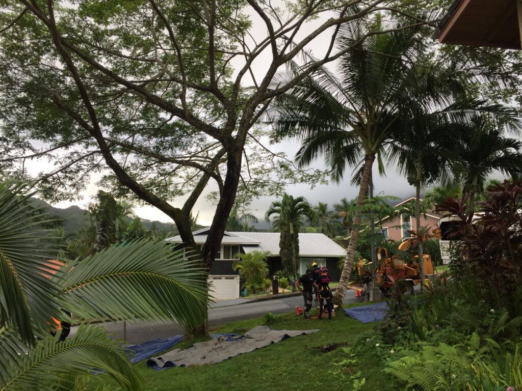 Starfarm Tree Service Hawaii crew members working on a tree service job with equipment in Kapolei, HI.