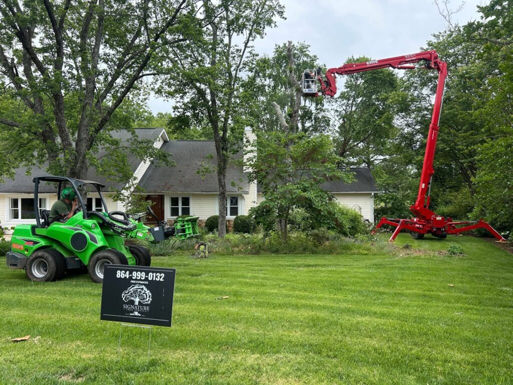 Tree service equipment, including a green loader and red spider lift, on a job site for Signature Tree Service in Greenville, SC.
