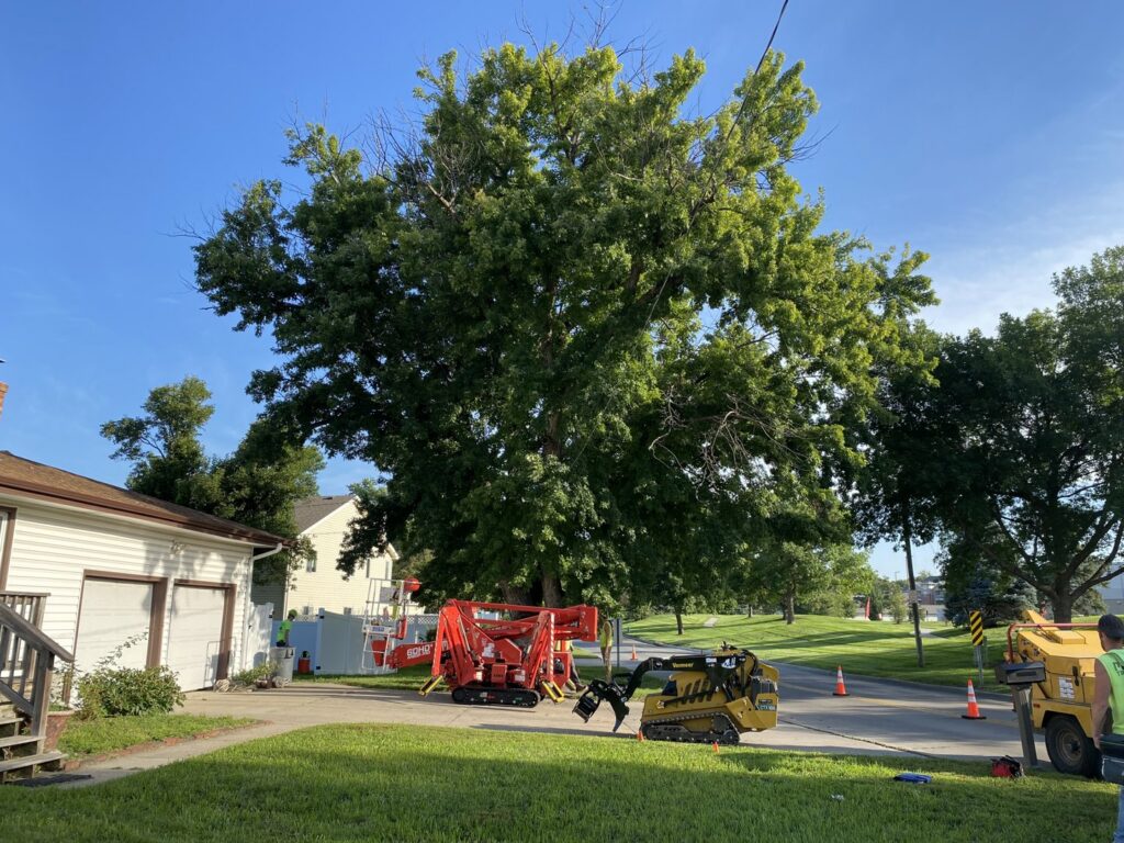 Tree service equipment, including a bucket lift and chipper, set up for a large tree job by Marv's Tree Service in Omaha, NE.