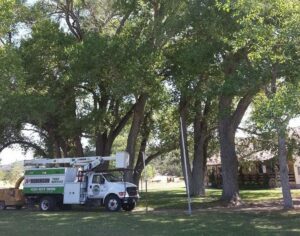 BA Robinson Tree Service bucket truck and wood chipper parked under large trees, ready for a job in Saint George, UT.