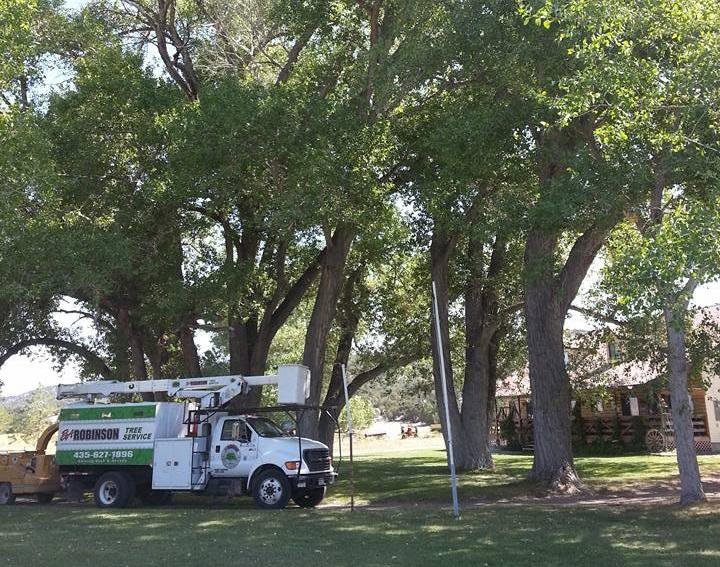 BA Robinson Tree Service bucket truck and wood chipper parked under large trees, ready for a job in Saint George, UT.