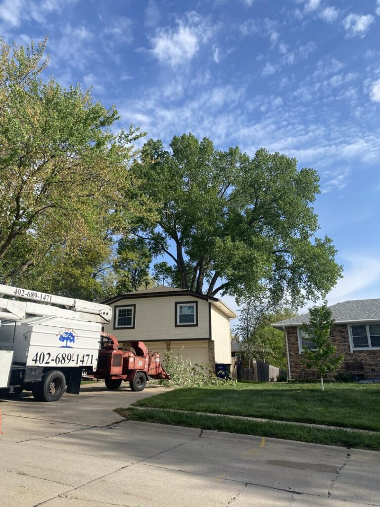 A bucket truck and wood chipper at a residential property, indicating a tree service job by A & C Tree Service in Las Vegas, NV.