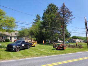 A tree service crew with a truck, chipper, and mini-skid steer working in a residential yard for Morgan Brothers Tree Care Solutions in Birdsboro, PA