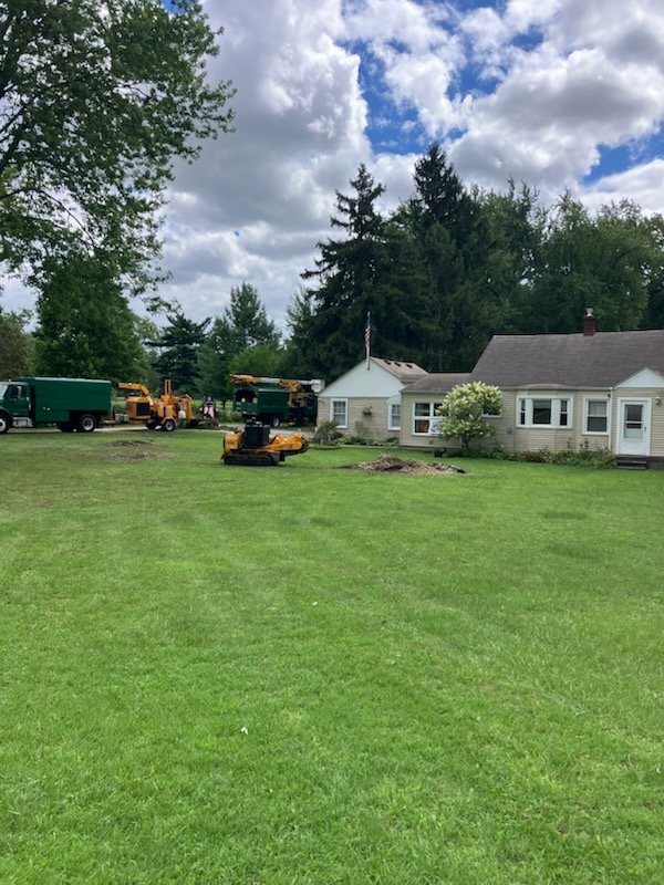 Tree service equipment, including a chipper and stump grinder, set up in a residential yard by Magee Tree Service in Detroit, MI.