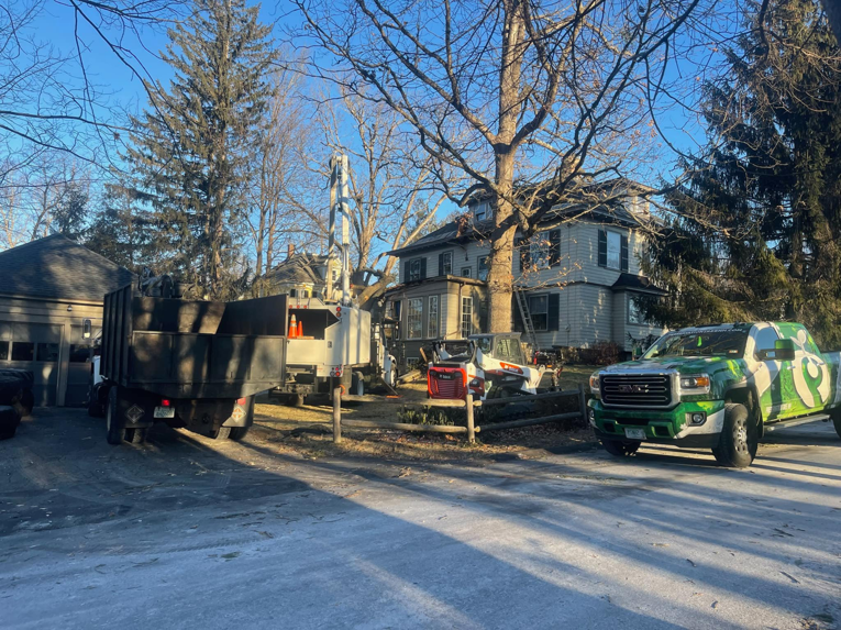 Tree service equipment, including a branded truck and dump truck, set up for a job by Preservation Tree NH, LLC in Concord, NH