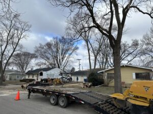 Wildwood Tree Service equipment, including a truck, mini skid steer, and stump grinder, set up for a tree removal job in Elgin, IL.