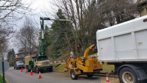Tree service equipment including a wood chipper and dump truck on a street by 20/20 Landscaping and Tree Service in Pittsburgh, PA.