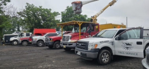 A fleet of tree service vehicles, including a bucket truck and dump trucks, ready for work by Prime3 service & Mejia Brothers Llc in Trenton, NJ.
