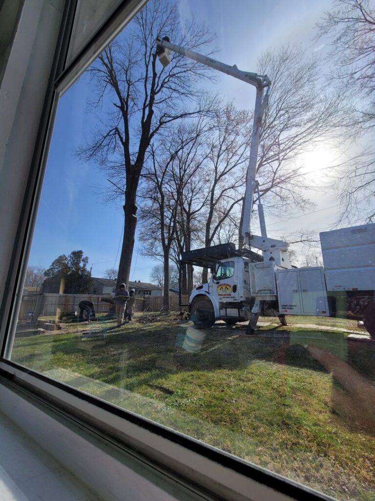 Tomahawk Tree Service crew and bucket truck seen through a window during tree work in Croydon, PA.