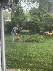 A tree service ground crew member using a chainsaw to process cut branches, part of efficient cleanup by Capital Tree Company in Des Moines, IA.