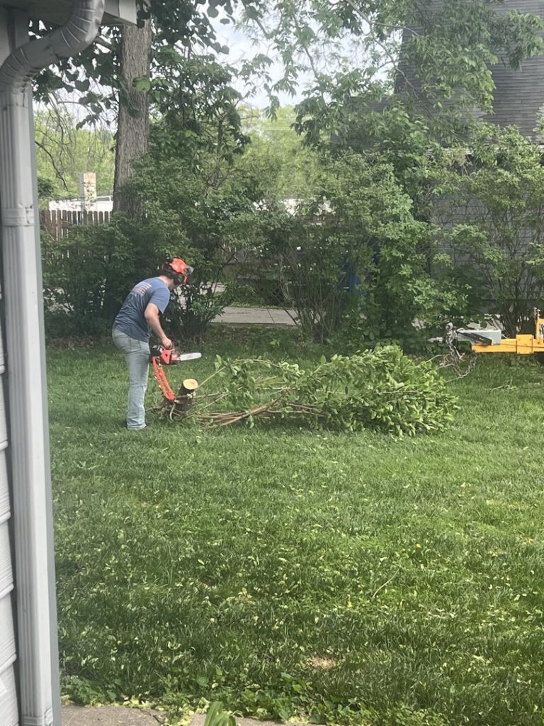 A tree service ground crew member using a chainsaw to process cut branches, part of efficient cleanup by Capital Tree Company in Des Moines, IA.