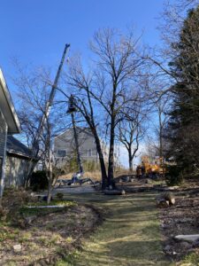 A comprehensive tree service operation with a crane, bucket lift, and wood chipper on site by Arbor Solutions Tree Service in Ann Arbor, MI.