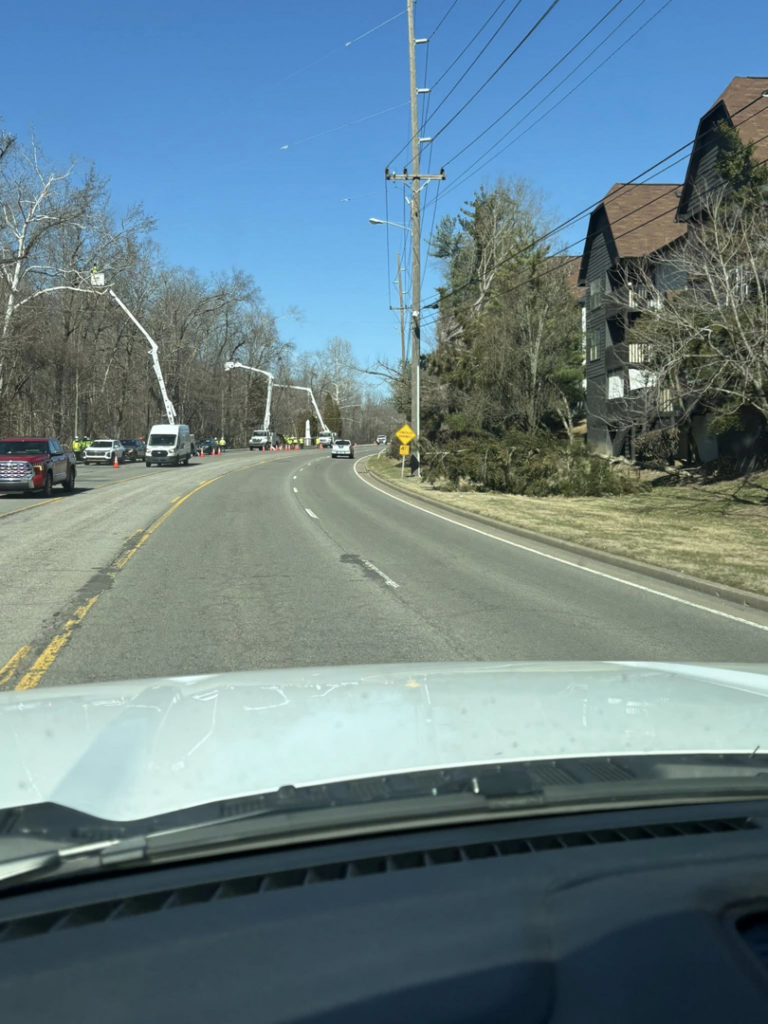 Multiple Ox Tree service trucks and workers performing a large-scale tree service operation along a roadside in Birmingham, AL.