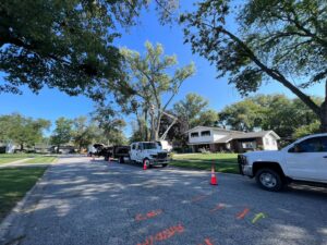 A street scene showing a tree service operation with a bucket truck and safety cones by Raptors Tree Service LLC in Hammond, IN.