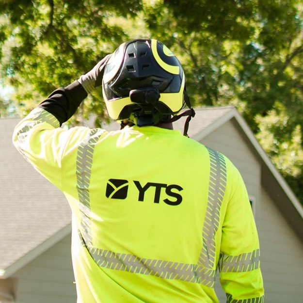 A YTS Companies tree service professional wearing a safety helmet and high-visibility shirt, looking at trees in Maple Grove, MN