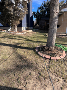 A rope setup for tree service in a backyard by Ice Tree Service LLC in Westminster, CO.