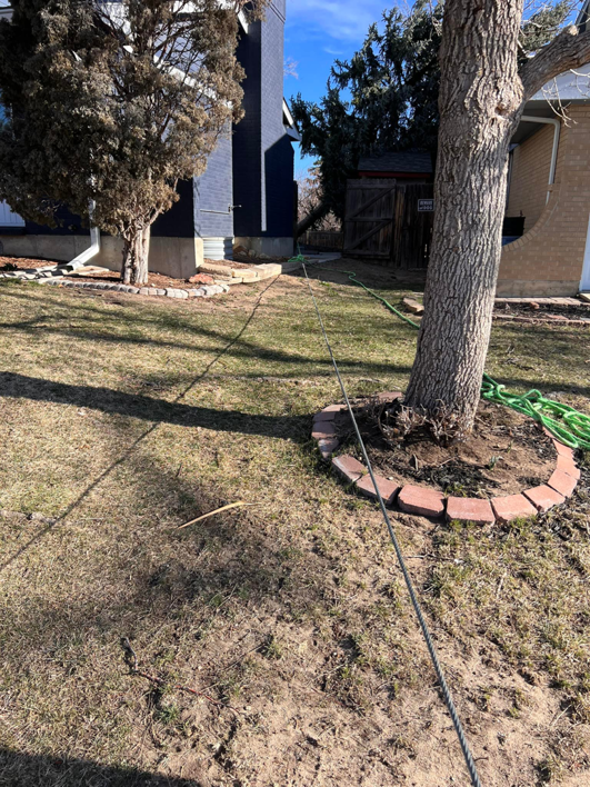 A rope setup for tree service in a backyard by Ice Tree Service LLC in Westminster, CO.