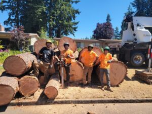 The Haskins Tree Care team in Bellevue, WA, standing proudly with a pile of logs and a crane after a tree removal.