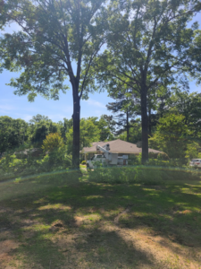 A white tree service truck with an extended boom lift parked near a house and tall trees by Edgar's Tree Service & Demolition in West Monroe, LA