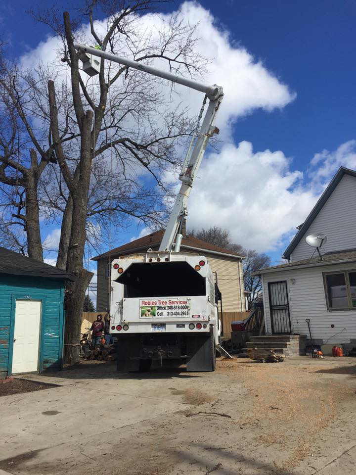 A tree service truck with an extended boom lift positioned next to a tree being worked on by Robles Tree Service in Detroit, MI.