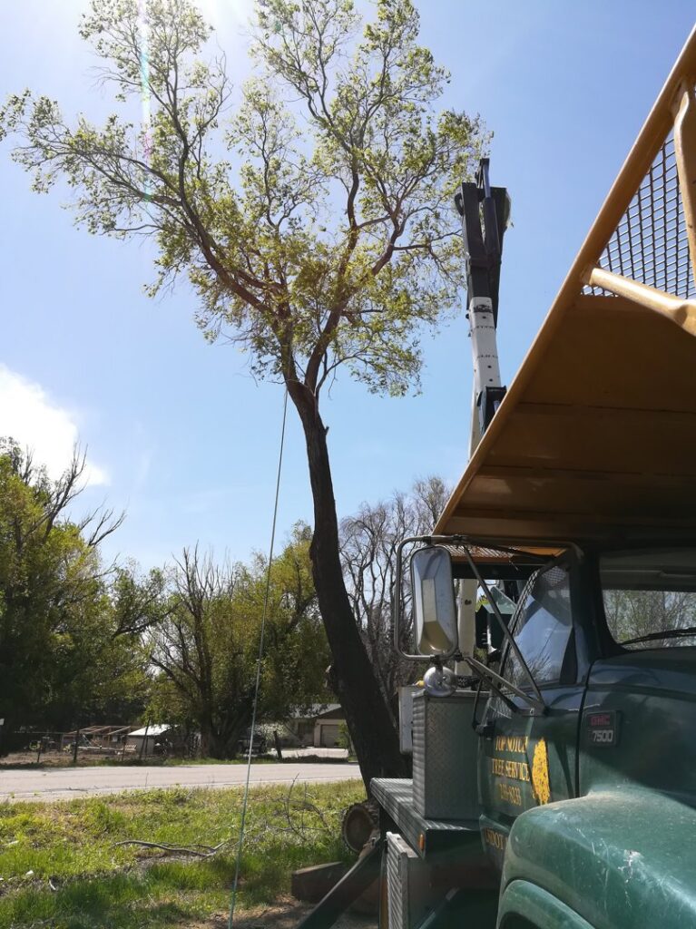 A tree service truck with a boom and a rope hanging from a tree, indicating active work by Top Notch Tree Service in Pocatello, ID.