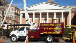 A Baltimore Tree Experts truck with a bucket lift and worker at a job site in Baltimore, MD.