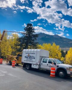 A tree service truck with a chipper and boom lift from Northern Colorado Tree Service in Fort Collins, CO.