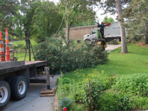 A tree service truck with a wood chipper and cut branches on the ground after a job by Arbor Aesthetics Tree Service in Omaha, NE.