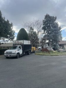 A TW Tree Service truck and wood chipper parked near a perfectly shaped conical evergreen tree in Lewiston, ID.