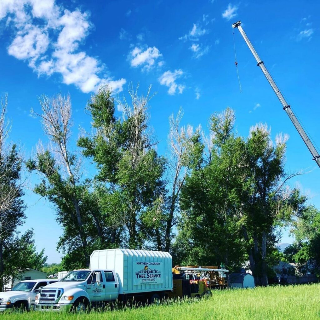 A tree service truck with a chipper and crane from Northern Colorado Tree Service in Fort Collins, CO.