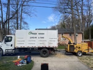A Green Woods Sawmill & Tree service truck with a wood chipper on a job site in Bowie, MD.