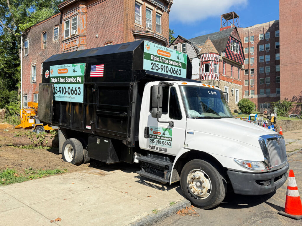 A Triple A Tree Service PA truck and wood chipper at a tree removal job site in Philadelphia, PA.