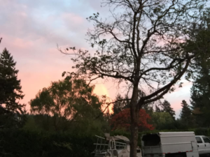 A tree service truck and wood chipper parked at sunset for Bridgetown Tree Service in Portland, OR.