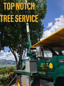 A green tree service truck with a crane and a worker on site, ready for tree work by Top Notch Tree Service in Pocatello, ID.