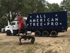 A large tree service truck with a grapple loader and bucket lift from All American Tree Pro in Tallahassee, FL.