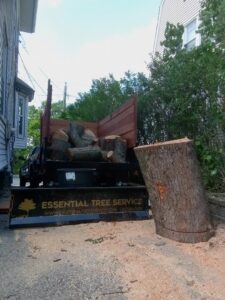 An Essential Tree Service truck loaded with logs and a large tree stump after removal in Boston, MA