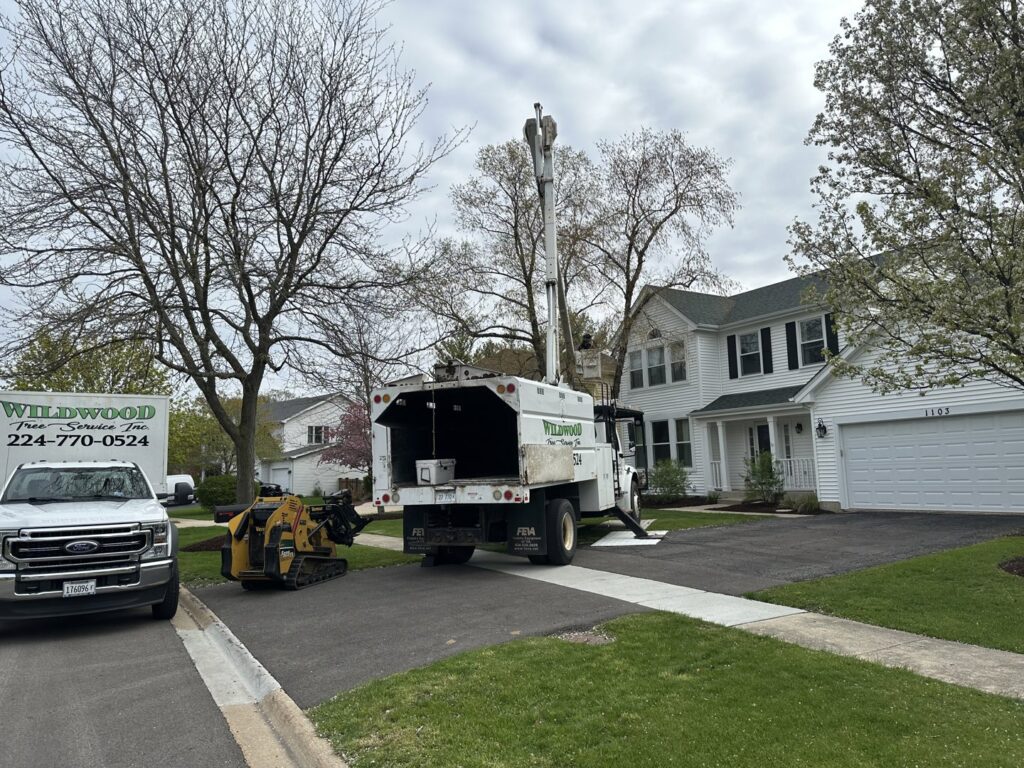Wildwood Tree Service truck with a bucket lift and a mini skid steer parked on a driveway in Elgin, IL, ready for tree work.