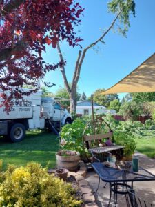 A TW Tree Service truck parked next to a partially cut tree in a residential yard in Lewiston, ID.