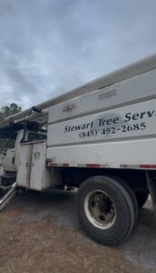 A Stewart Tree Service truck with company branding and contact information in Mount Pleasant, SC.