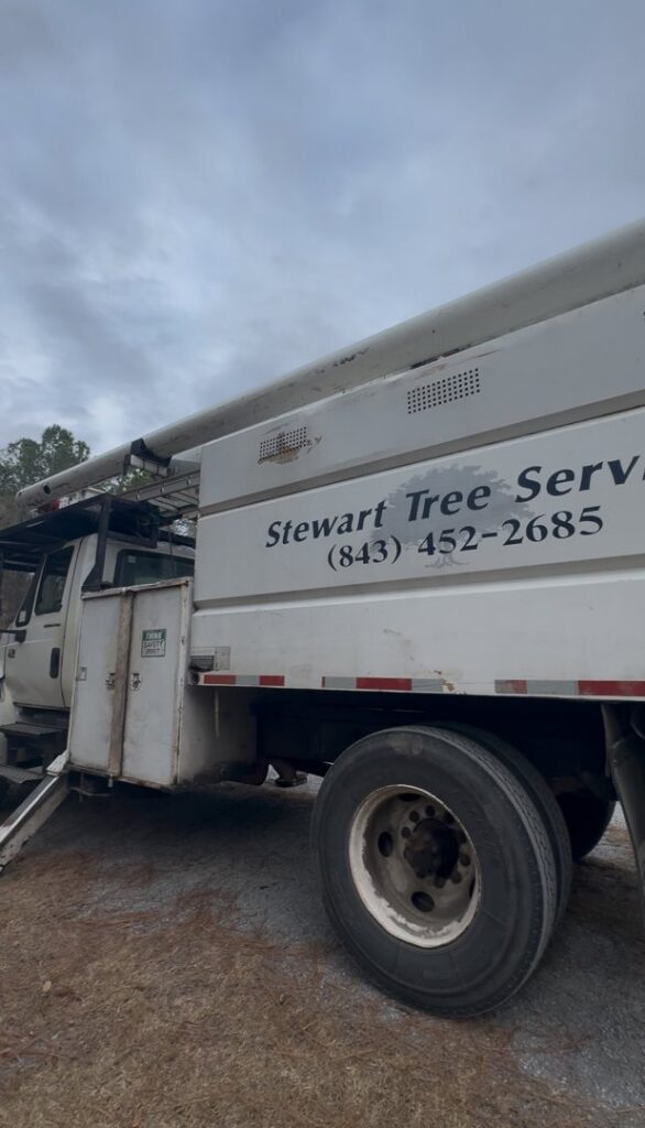 A Stewart Tree Service truck with company branding and contact information in Mount Pleasant, SC.