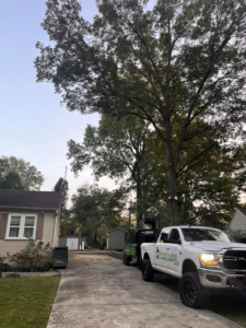 A white tree service truck with a trailer, displaying the Northeast Alabama Tree Experts LLC logo, parked in Anniston, AL.