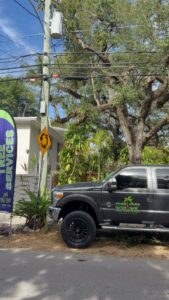 A branded tree service truck with the OnTop Tree Service logo parked on a street in Miami, FL, next to a tree and a service banner