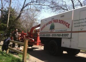 A Good Hands Tree Service truck and wood chipper on a job site with a worker in Dallas, TX